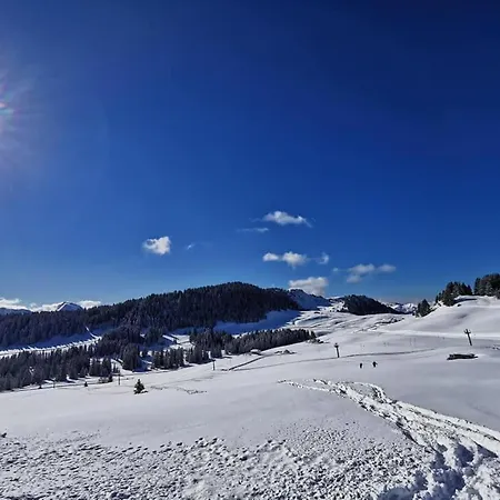 מלון Du Midi 3*