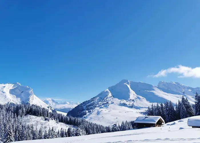 Du Midi Thônes