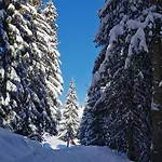 Du Midi Hotel Thônes