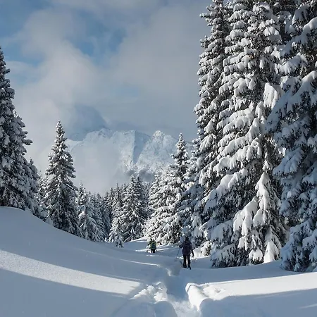 Отель Du Midi 3*