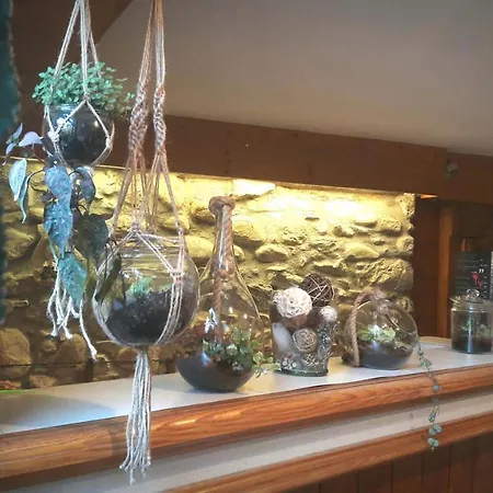 فندق دو ميدي تون